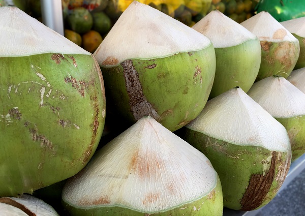 Partially Peeled Coconut